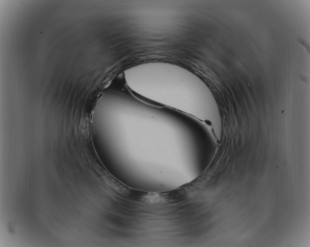 X0000091370425200708241338