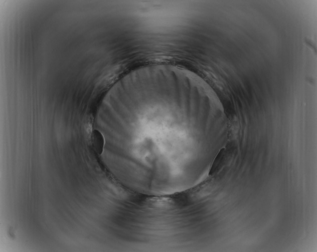 X0000091370427200708241338