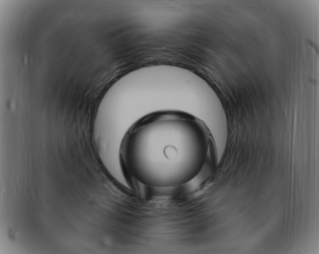 X0000091370428200708241338