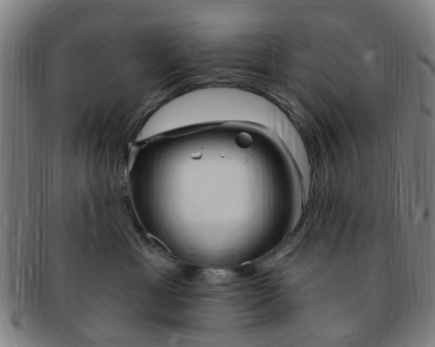 X0000091370429200708241338