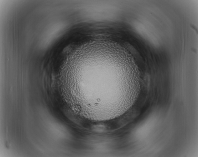 X0000091370430200708241338