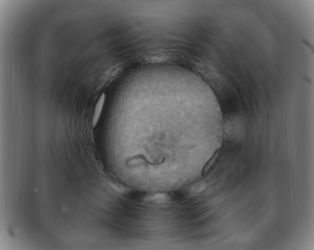 X0000091370431200708241338