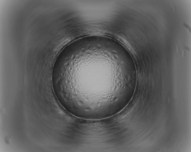 X0000091370433200708241337