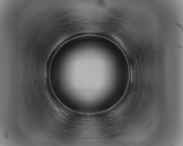 X0000091370435200708241337