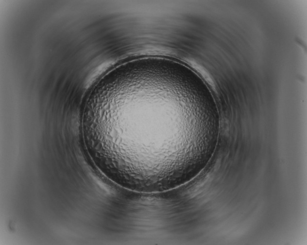 X0000091370437200708241337