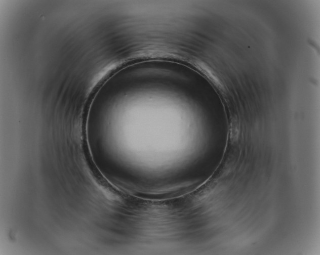 X0000091370438200708241337