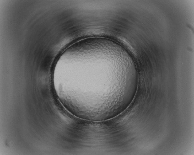 X0000091370439200708241337