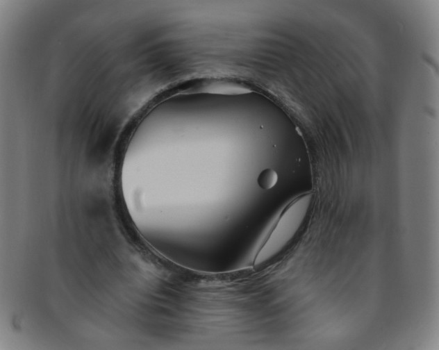 X0000091370440200708241337