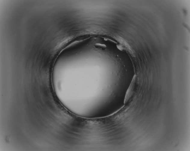 X0000091370442200708241337