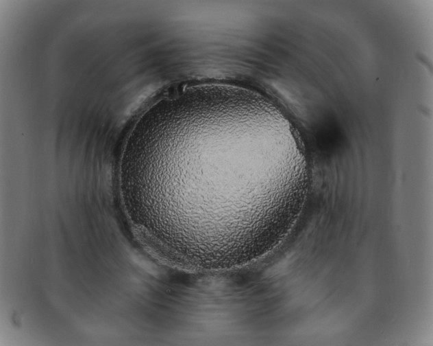 X0000091370444200708241337