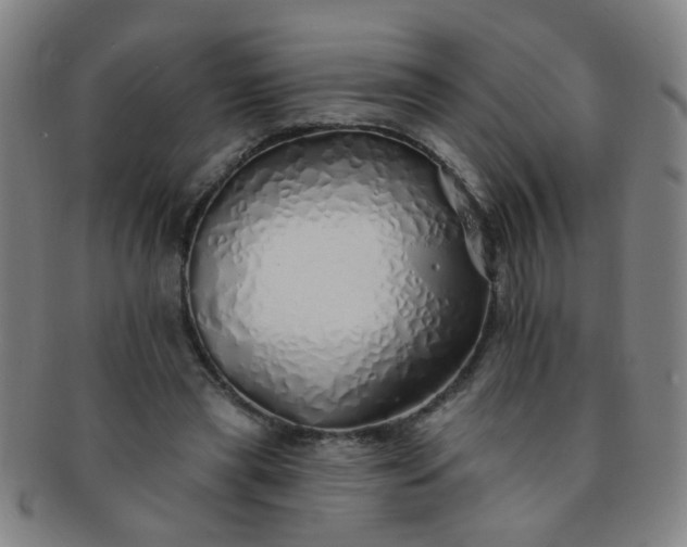 X0000091370445200708241337