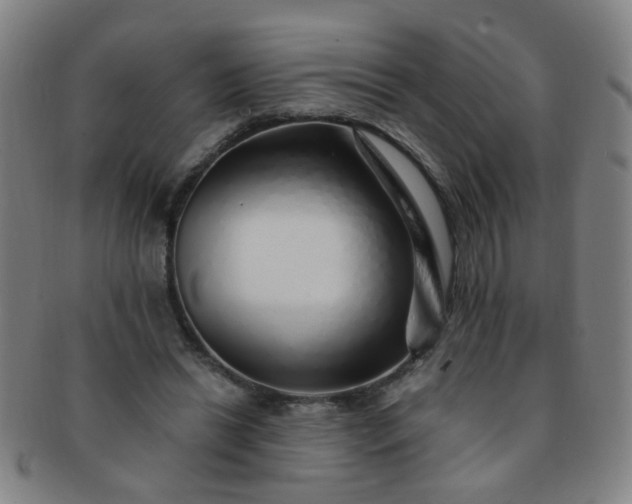 X0000091370446200708241337