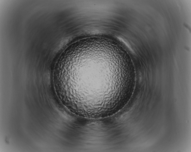 X0000091370447200708241337