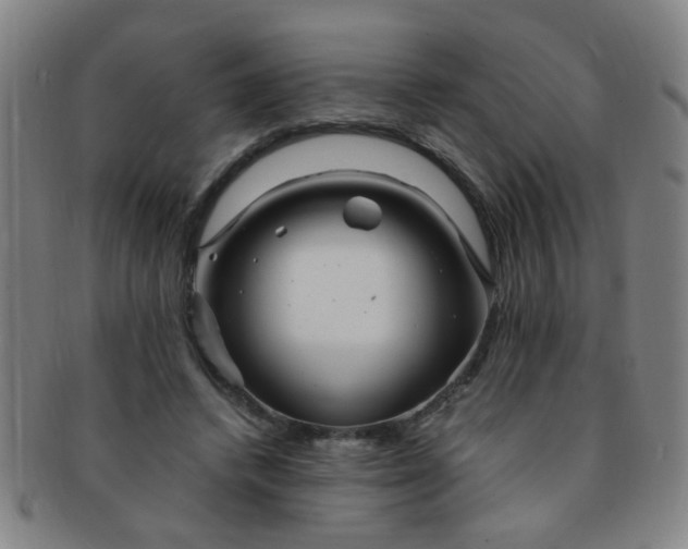 X0000091370448200708241337