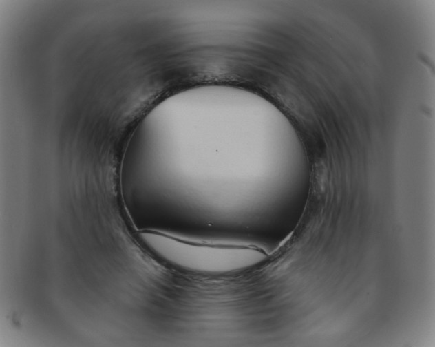 X0000091370450200708241337