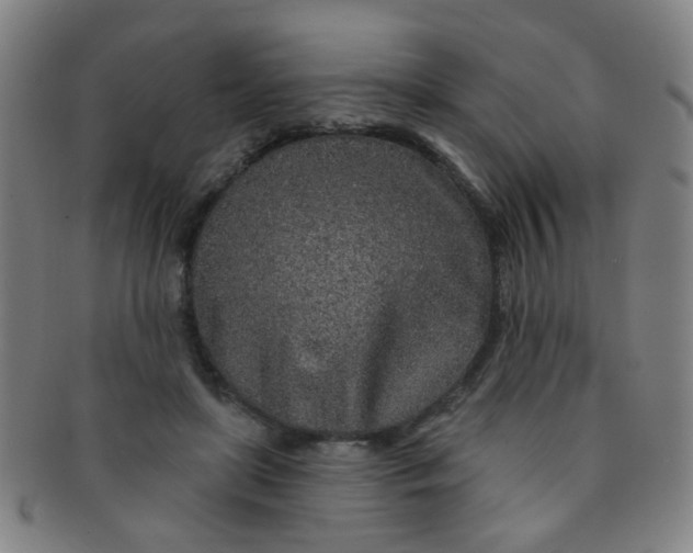 X0000091370451200708241337