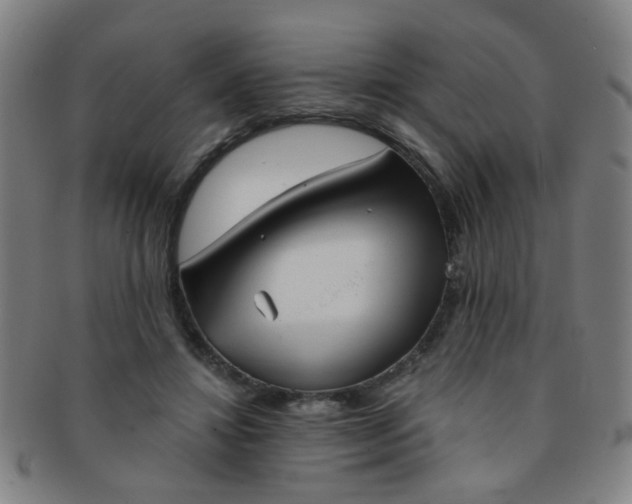 X0000091370452200708241337