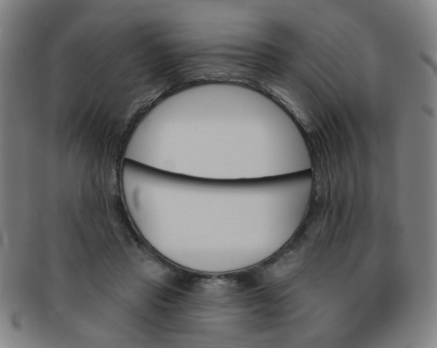 X0000091370453200708241337