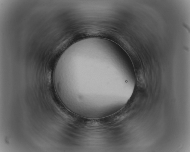 X0000091370454200708241337