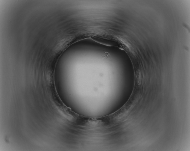 X0000091370455200708241337