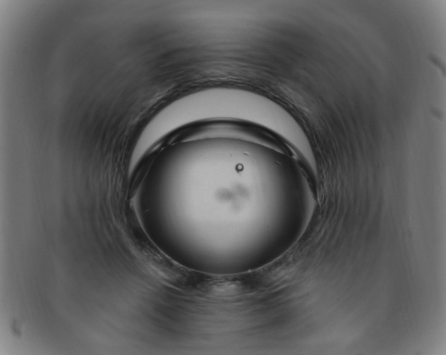 X0000091370456200708241337