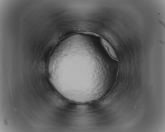 X0000091370457200708241337