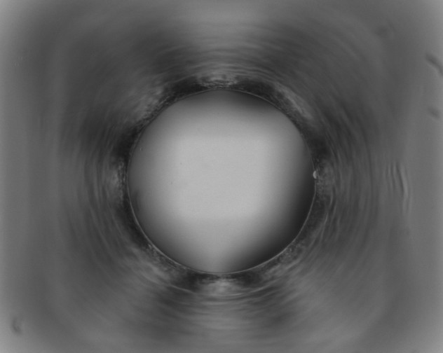 X0000091370460200708241337