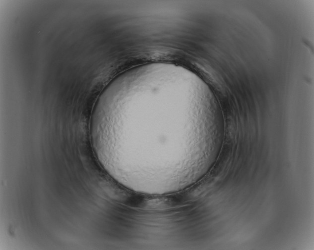 X0000091370461200708241337