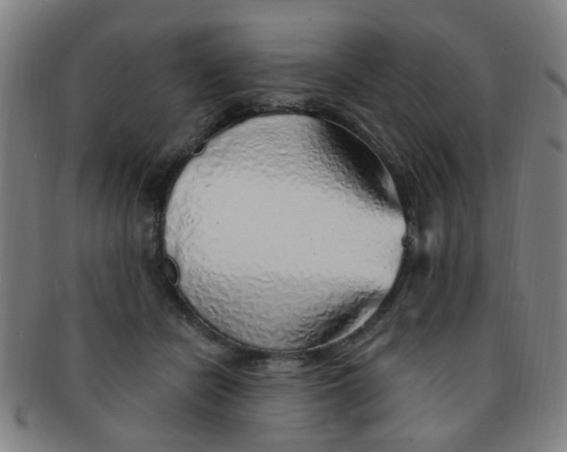 X0000091370462200708241337