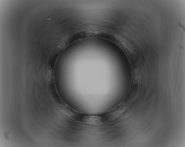 X0000091370463200708241337