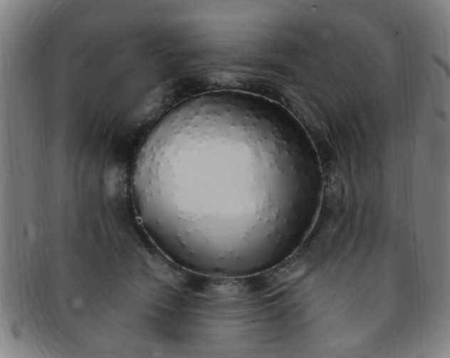 X0000091370466200708241338