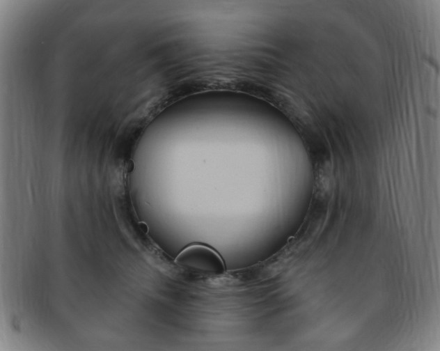 X0000091370468200708241338