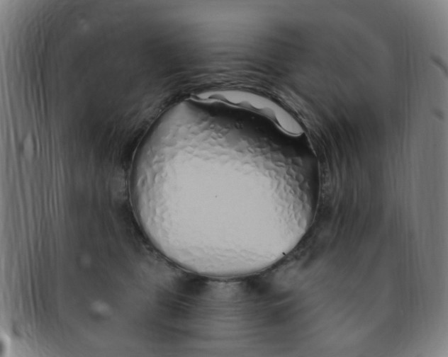 X0000091370469200708241338