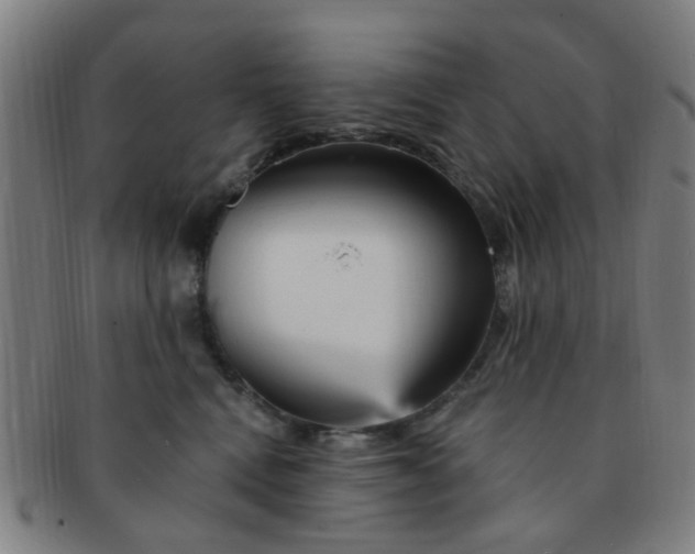 X0000091370472200708241338