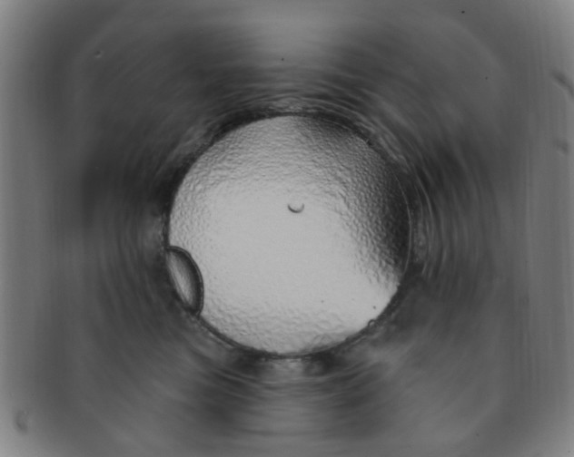 X0000091370473200708241338