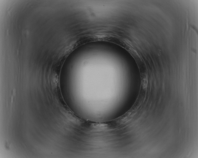 X0000091370476200708241338