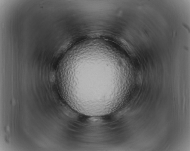 X0000091370477200708241338