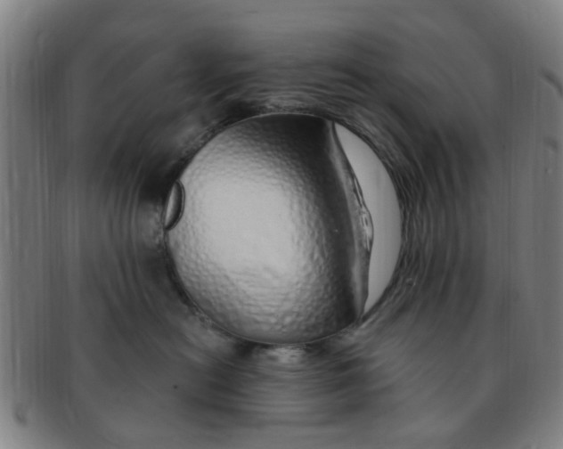 X0000091370478200708241338