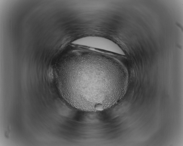 X0000091370479200708241338