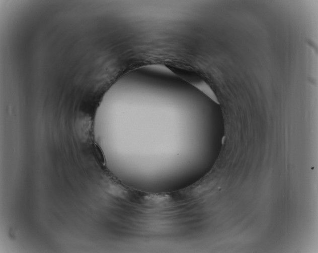 X0000091370480200708241338