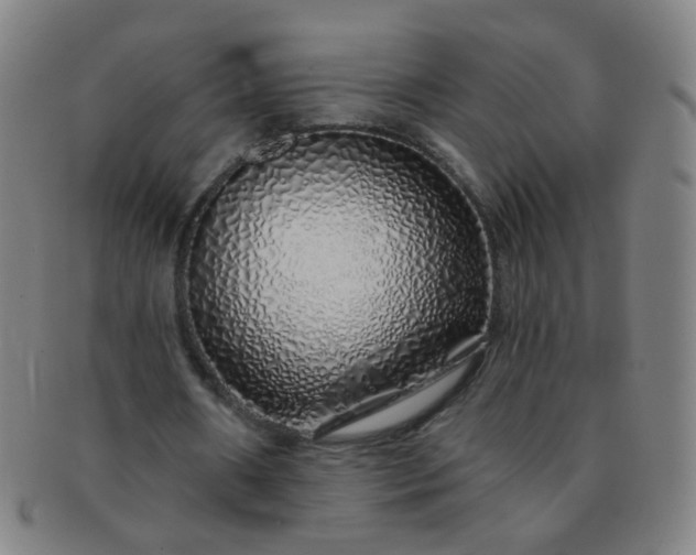 X0000091370482200708241337