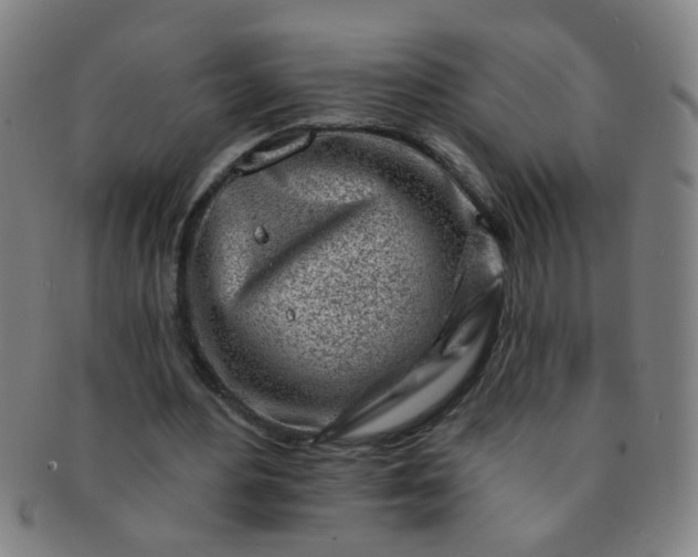 X0000091370484200708241337