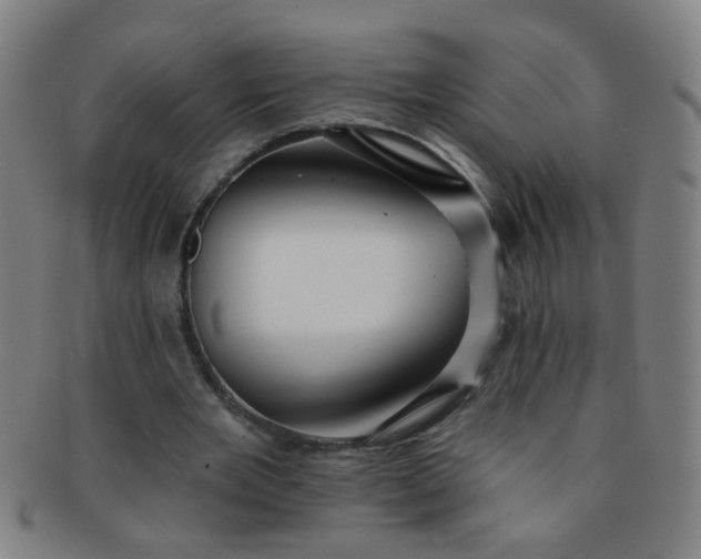 X0000091370485200708241337