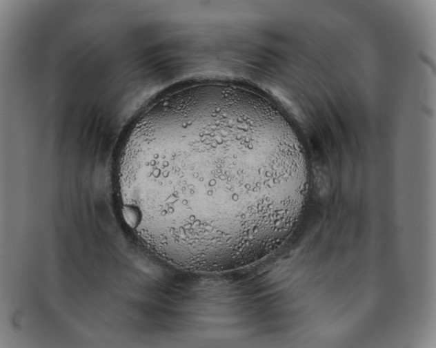 X0000091370487200708241337