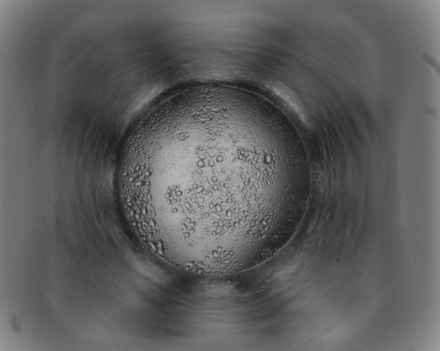 X0000091370491200708241337