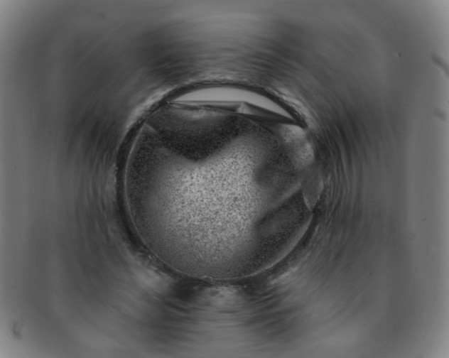 X0000091370492200708241337