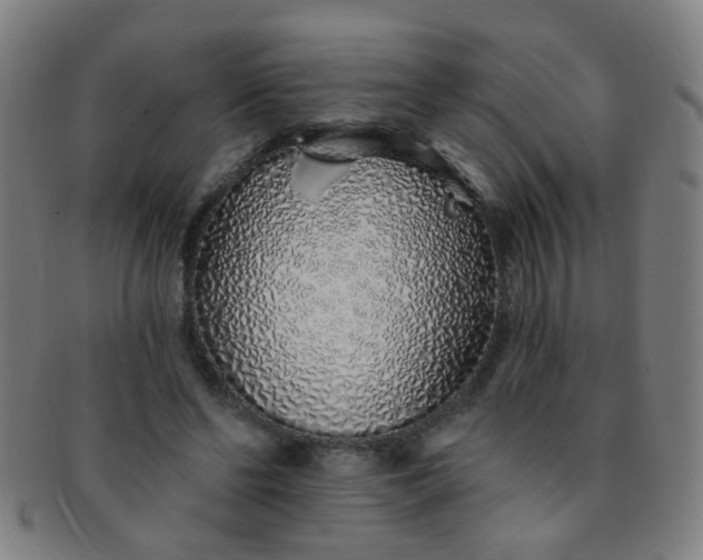 X0000091370494200708241337