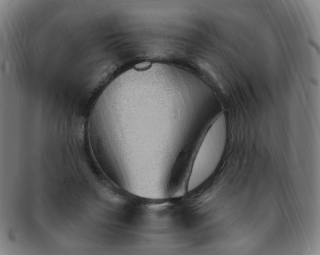 X0000091370495200708241337