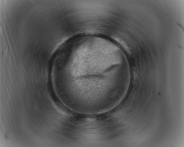 X0000091370496200708241337