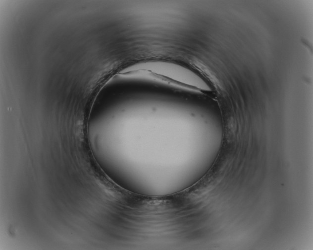 X0000091370497200708241337